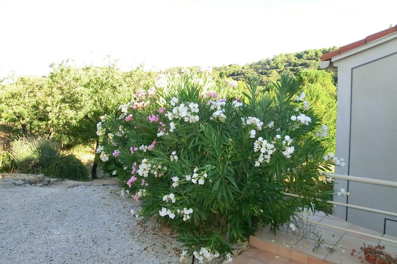 Gite Charlrose At La Platriere Cazedarnes 外观 照片